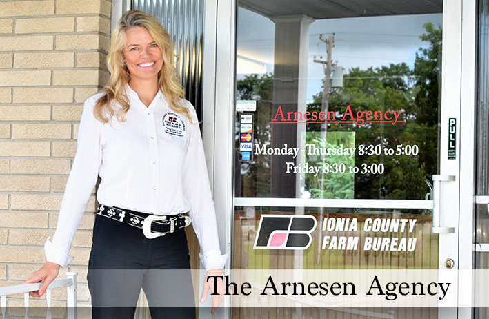 Denise Arnesen Agency, Denise Arnesen, Ionia, Michigan